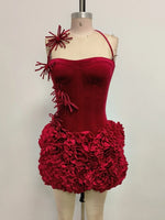 Halter Lace Back Rosette Two Piece